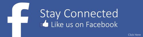 Facebook Icon